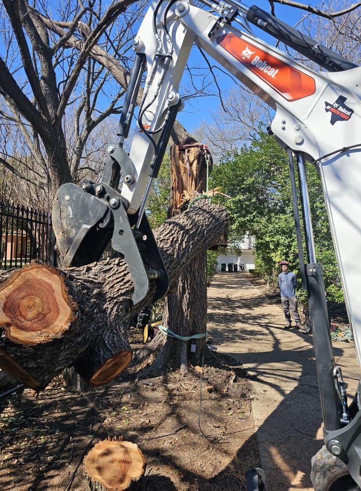 Timber Tree Service professional tree care work